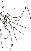 .11(  )